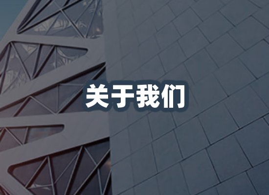 公司环境